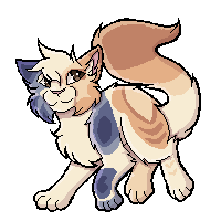 Pixel