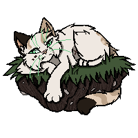 Pixel