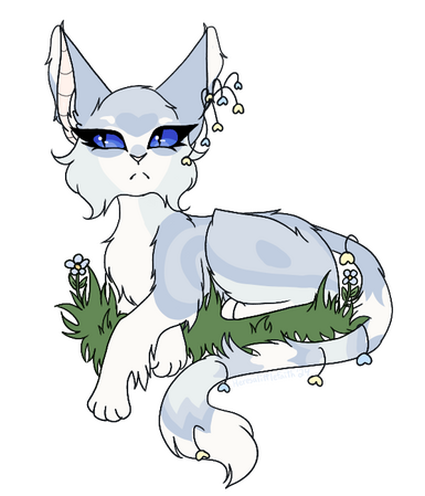 Fullbody